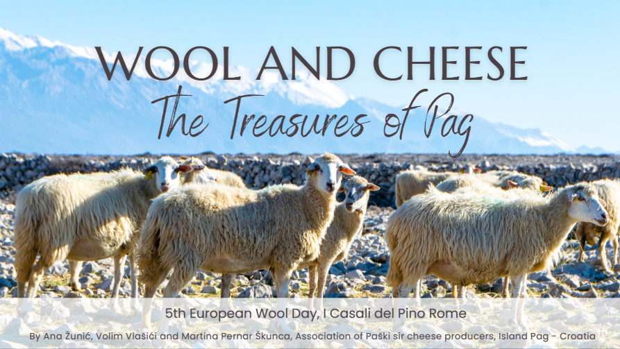 Vuna i sir – blago otoka Paga na Europskom danu vune u Rimu