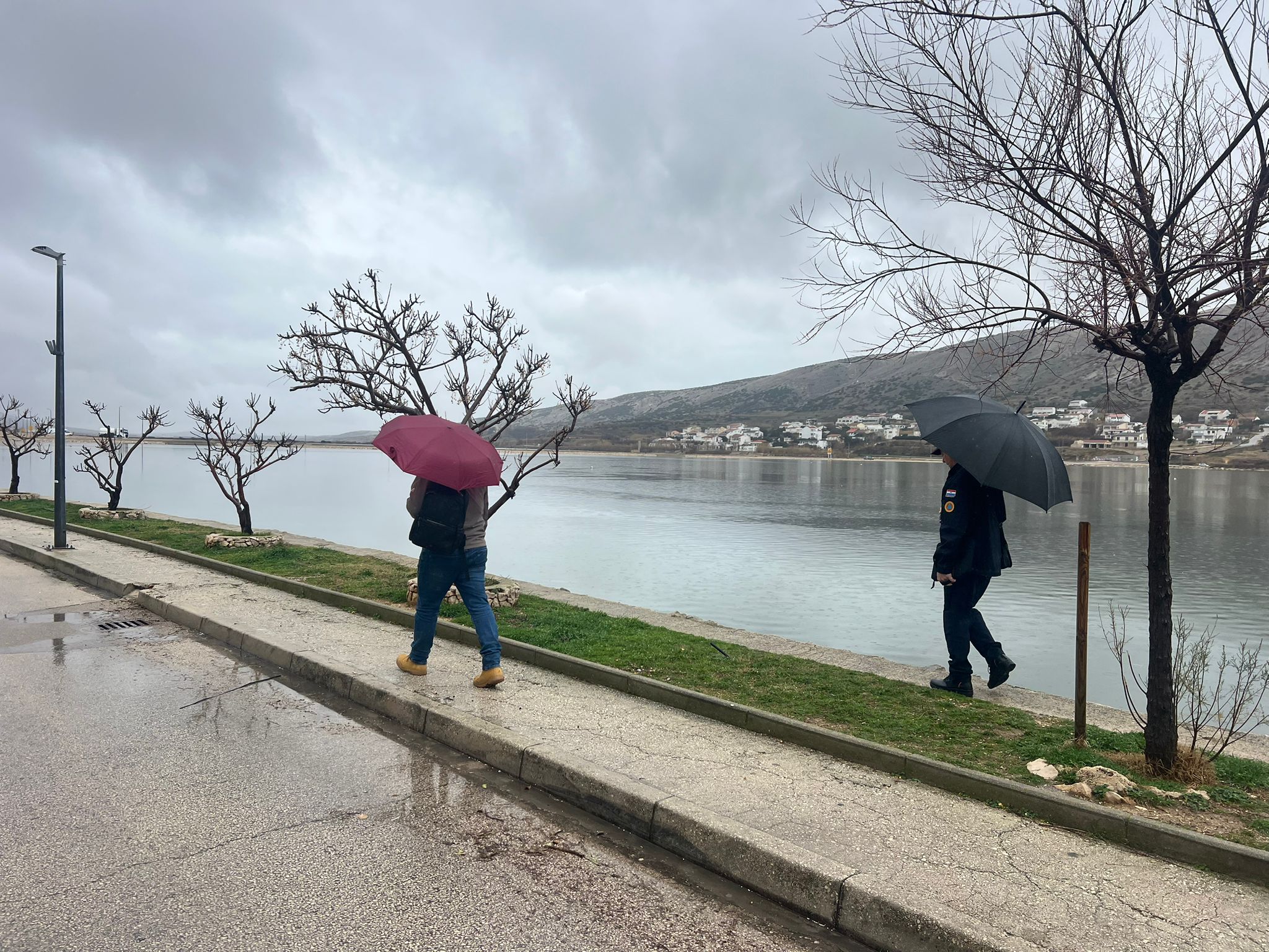 WhatsApp Image 2026 02 05 at 11.51.01 2