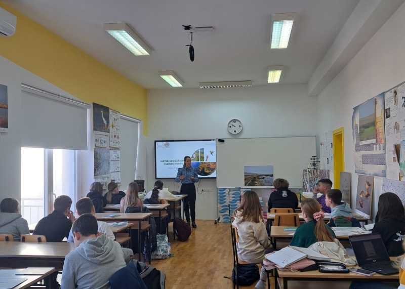 20240202095252